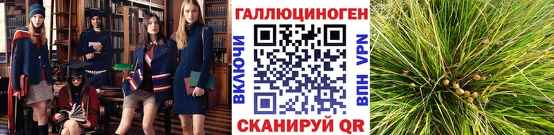 купить закладку Владикавказ Галлюциногенные грибы Magic Shrooms